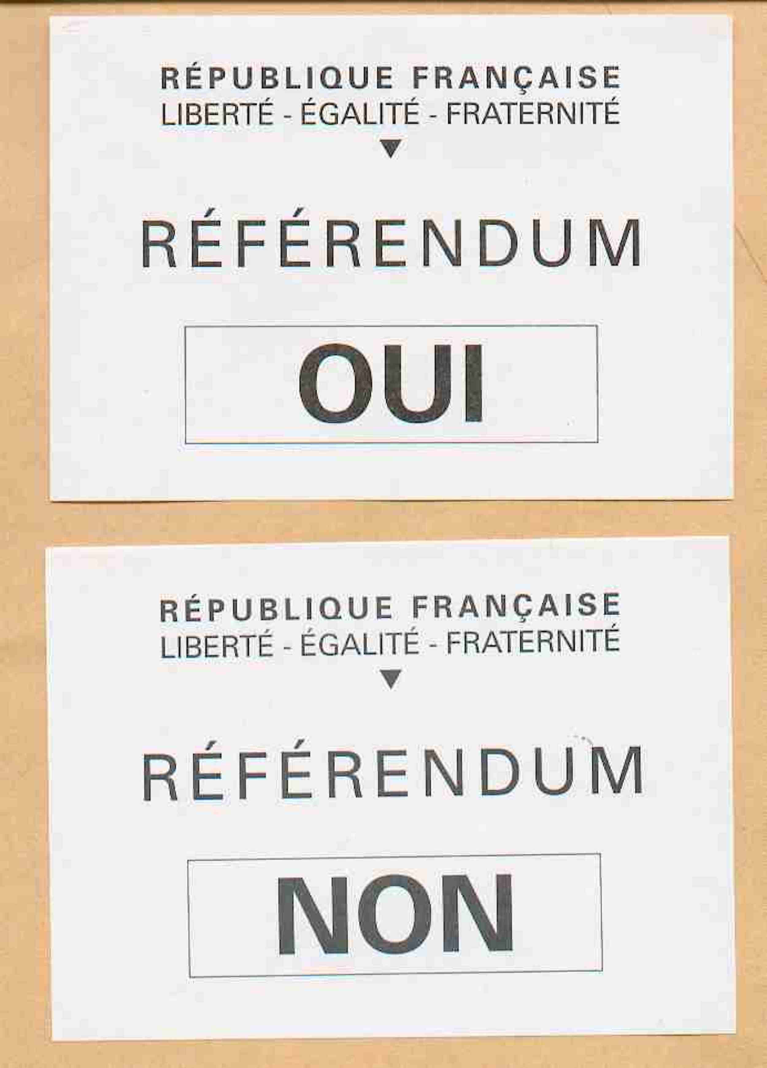 Referendum ballots